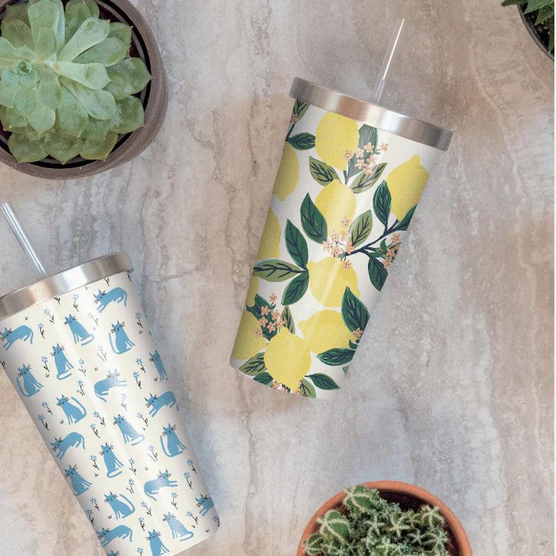 Stainless Steel Tumblers